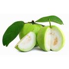 Premium Guava 1kg