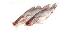 Ayer Fish Small 1Kg