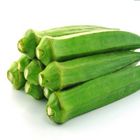 Dherosh Okra 500g