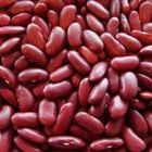 Kidney Beans Rajma 100g