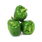 Capsicum Green Bulk 1Kg