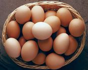 Egg Regular 4 Pieces