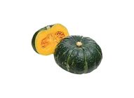 Baby Pumpkin 20042196 1 Each