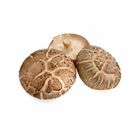 Mushroom Shitake 300g / Pack