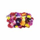 Edible Flower 40g / Pack