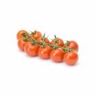 Tomato Cherry on The Vine (Packing) 250g / Pack