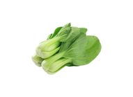 Baby Bok Choy 20509026 0.5 Catty