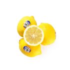 Lemon 1 Piece