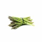 Asparagus Green 500g / Pack