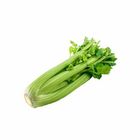 Celery 300g / Pack