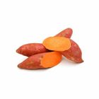 Orange Sweet Potato 600g / Pack