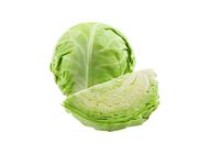 Cabbage 20509422 1.1 Catty