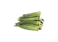 Okra 20508456 0.4 Catty