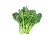 新低價 菜心 300GM - 317701