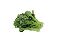 Choy Sum 20507886 0.5 Catty