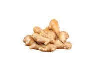 Ginger 20509040 0.5 Catty