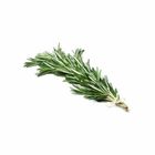 Rosemary 30g / Pack