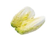 Chinese Cabbage 1 Piece