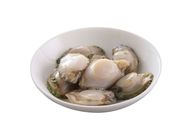 Australian Greenlip Abalone (10-30g/pc) Bag (0.5Lb) (88110113)