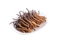 Cordyceps (B grade) (78-100pcs/37.8g) 37.8g (81023211)