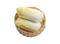 Baby Cabbage 20000158 1 Pack