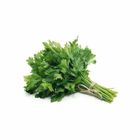 Parsley Flat 30g / Pack