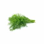 Dill 30g / Pack