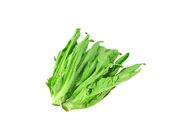 Indian Lettuce 20509569 1 Catty