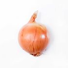 Brown Onion 1 Piece