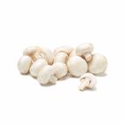 Mushroom White Fine 100g / Pack
