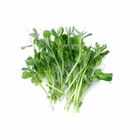 Cress Affila 70g / Pack