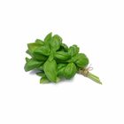 Basil 30g / Pack