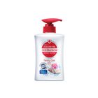 Follow Me Anti-Bacterial Hand Wash Family Care 450ml - 106146