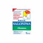 Salonpas Patch 10 Pieces