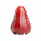 JAMBU AIR MERAH KG