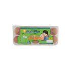 Nutriplus Omega 3 Eggs Jumbo 10 Pieces