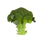 R China Broccoli Pc.