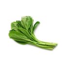 Fresh Sawi Biasa | ± 250g | 1 pack