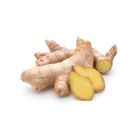 Halia Tua / Old Ginger - 3539
