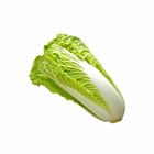 Snow Cabbage 1 Piece