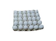 Eggs Large 30 Pieces