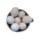 Shop-N-Bag 1 Dozen Large Eggs