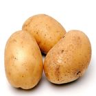 Potato (New Born ) 1Kg