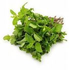 Pudina/Mint - (1 Bunch)