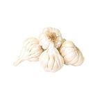 Fat Garlic / Lassan Mota Lehsan China 1kg