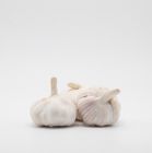 Garlic China (Lehsan China) 250g