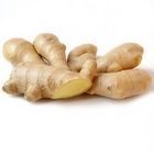 Ginger Adrak 250g