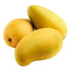 Chaunsa Mangoes 1kg