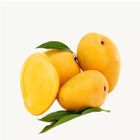 Mango Anwar Ratol 500g