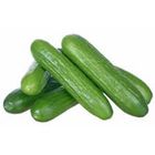 Cucumber Farmi 250g